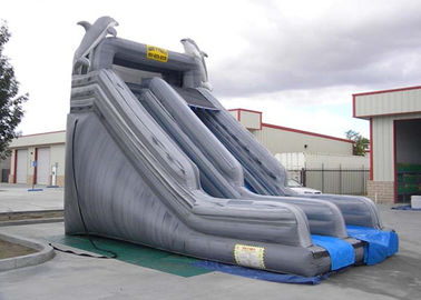 डबल स्लाइड रास्ता वाणिज्यिक Inflatable स्लाइड ग्रे पीवीसी बाहर