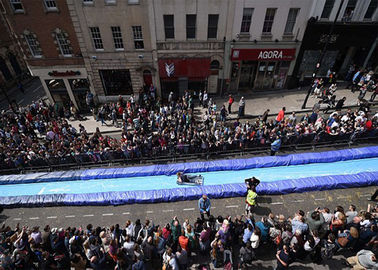 अद्भुत विशाल Inflatable जल स्लाइड शहर लंबे मुद्रण लोगो
