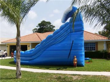 बच्चों के लिए ब्लू विशाल इन्फ्लैटेबल व्हेल वॉटर स्लाइड कॉमर्सियल ड्यूल लेन