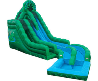 एमरल्ड ग्रीन मेंढक मज़ा पानी स्लाइड, Inflatable डबल रश पर्ची गीले स्लाइड