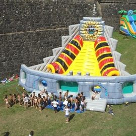 वूडू पिरामिड बड़े inflatable स्लाइड, 7 मीटर ऊंचाई बच्चों आउटडोर स्लाइड