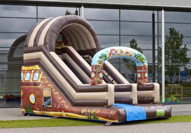 बच्चों के लिए पूर्ण प्रिंट आकर्षण खेल का मैदान व्यावसायिक वाणिज्यिक Inflatable स्लाइड