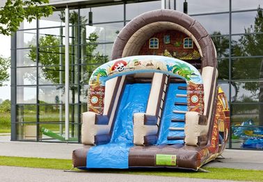 बच्चों के लिए पूर्ण प्रिंट आकर्षण खेल का मैदान व्यावसायिक वाणिज्यिक Inflatable स्लाइड