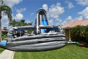मज़ा के लिए अनुकूलित गार्डन दोहरी लेन Inflatable जल स्लाइड पूल