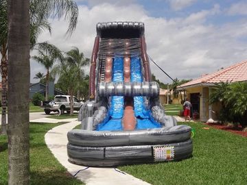 मनोरंजन पार्क 30 एफटी 2 लेन Inflatable जल स्लाइड कस्टम पीवीसी निविड़ अंधकार