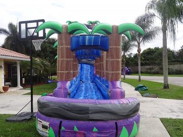 पूल / वयस्क Inflatable गीले स्लाइड के साथ बैंगनी स्वर्ग Inflatable पानी स्लाइड