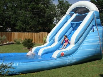 बच्चों / डॉल्फिन Inflatable पूल जल स्लाइड के लिए Inflatable जल स्लाइड खेलें