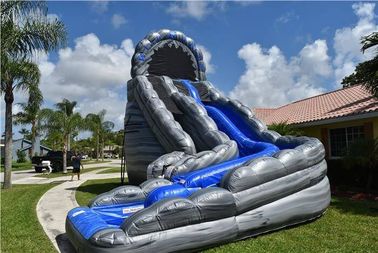 पूल के साथ वाणिज्यिक ब्लू विशाल Inflatable स्लाइड लोगो मुद्रण जंगली रैपिड्स 24ft दोहरी लेन स्लाइड
