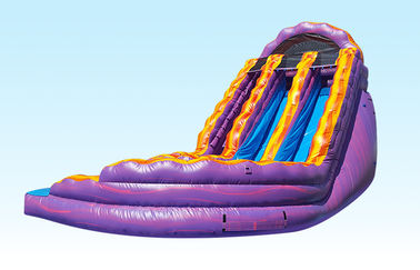 बैंगनी और ऑरेंज Inflatable सुडौल पानी स्लाइड डबल लेन 0.55 एमएम पीवीसी Materila स्लाइड