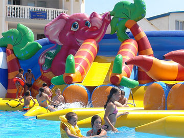बड़े पूल खिलौनों के साथ अनुकूलित विशाल ऑक्टोपस वॉटर पार्क, डॉलोहिन पशु inflatable पानी पार्क