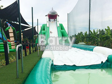 पेशेवर हिप्पो विशालकाय Inflatable पानी स्लाइड पानी पूल के साथ अनुकूलित आकार