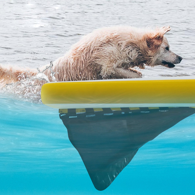 नाव के लिए अतिरिक्त बड़े inflatable पानी रैंप,डॉग पूल inflatable प्रकाश कुत्ते रैंप सॉफ्ट सीढ़ी कुत्तों के लिए, रंग मंच