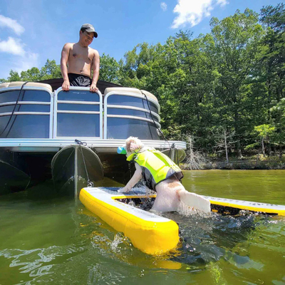 नाव के लिए अतिरिक्त बड़े inflatable पानी रैंप,डॉग पूल inflatable प्रकाश कुत्ते रैंप सॉफ्ट सीढ़ी कुत्तों के लिए, रंग मंच
