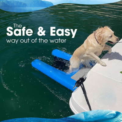 कुत्ते को पानी से बाहर निकलने में मदद करें DWF पीवीसी टारपौलीन कुत्ते सीढ़ी कुत्ते के लिए पानी का रैंप inflatable के लिए पालतू जानवरों के लिए तैराकी