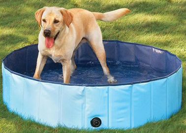 कुत्ता पैडलिंग पूल