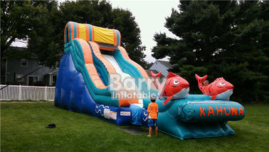 रंगीन वाणिज्यिक Inflatable स्लाइड, पार्टी के लिए बिग कहूना Inflatable पानी स्लाइड