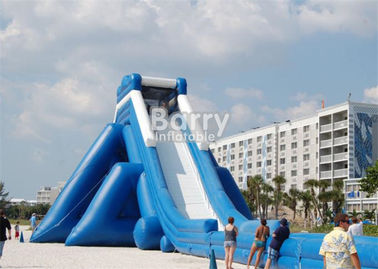 ब्लोअर के साथ समुद्र तट के लिए आउटडोर वाणिज्यिक विशालकाय वयस्क Inflatable हिप्पो वॉटर स्लाइड