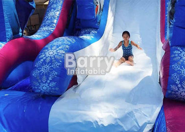 पूल / विशालकाय मनोरंजन पानी पार्क खेल के साथ 0.55 मिमी पीवीसी जमे हुए Inflatable पानी स्लाइड