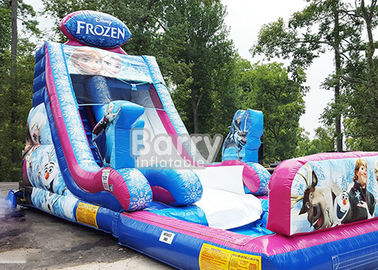 पूल / विशालकाय मनोरंजन पानी पार्क खेल के साथ 0.55 मिमी पीवीसी जमे हुए Inflatable पानी स्लाइड