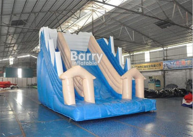 सफेद और नीले Inflatable पानी स्लाइड / पीवीसी तिरपाल OEM बच्चों आउटडोर स्लाइड