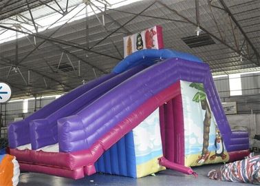पूल रेंटल के लिए विशाल निविड़ अंधकार बच्चों वाणिज्यिक Inflatable स्लाइड