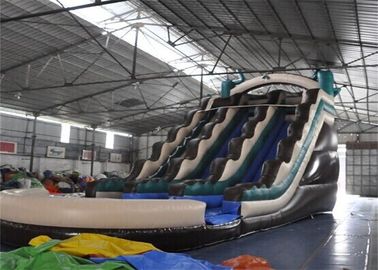 पूल के साथ रंगीन अग्निरोधी वाणिज्यिक Inflatable विशालकाय स्लाइड