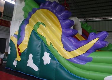 टिकाऊ प्लेटो पीवीसी Tarpaulin के साथ ड्रैगन Trippo वाणिज्यिक Inflatable स्लाइड