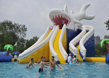 मजेदार इंफ्लैटेबल पूल खिलौने के साथ वाणिज्यिक विशालकाय शार्क उड़ो बच्चे पूल