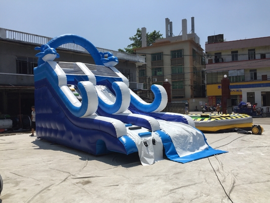 वाणिज्यिक Inflatable जल स्लाइड मनोरंजन Inflatable बाउंसर महल