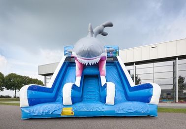 निविड़ अंधकार Haaien Cusom Inflatable शार्क स्लाइड टिकाऊ पीवीसी सामग्री