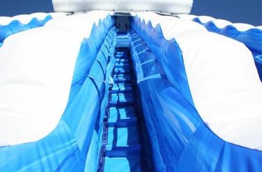 पीवीसी Tarpaulin सामग्री के साथ ब्लू 22 फीट डॉल्फिन डबल लेन कैली महासागर Inflatable पानी स्लाइड