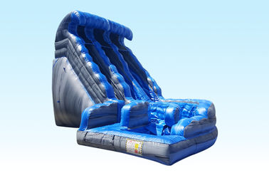 महोत्सव के लिए आउटडोर बड़े सुडौल वयस्क / बच्चों वाणिज्यिक Inflatable स्लाइड