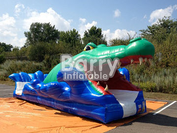 बच्चों के लिए अद्भुत आउटडोर खेल पीवीसी छोटे तीव्र Tarpaulin Inflatable पर्ची एन स्लाइड