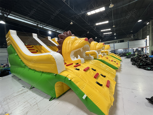 गुणवत्ता आश्वासन शेर inflatable पूल स्लाइड्स, inflatable पानी स्लाइड इनग्राउंड पूल के लिए