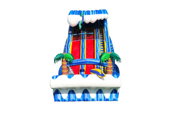 व्यावसायिक ग्रेड बड़ा आउटडोर पिछवाड़े 24 फीट शार्क दृश्य दोहरी लेन स्लाइड बच्चों और वयस्कों के लिए