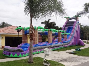 पूल / वयस्क Inflatable गीले स्लाइड के साथ बैंगनी स्वर्ग Inflatable पानी स्लाइड