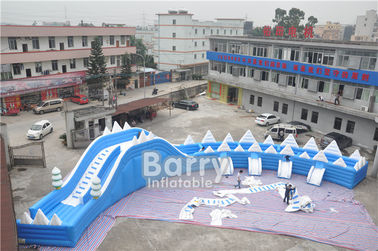 अनुकूलित सील टूथ Inflatable पर्ची एन स्लाइड ग्रीष्मकालीन उड़ा पानी स्लाइड