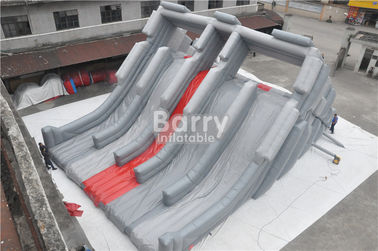पीछे के साथ डेगॉन हेड आकार का विशालकाय वयस्क Inflatable स्लाइड