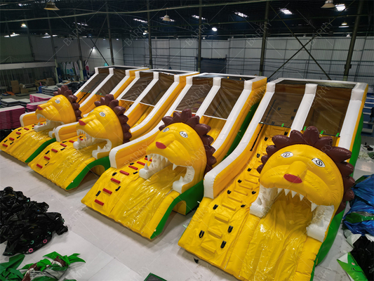 गुणवत्ता आश्वासन शेर inflatable पूल स्लाइड्स, inflatable पानी स्लाइड इनग्राउंड पूल के लिए