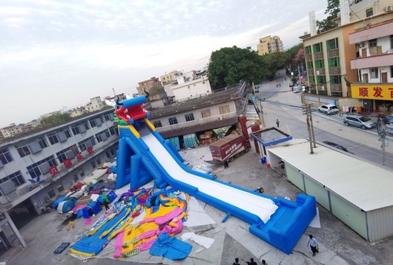 ड्रैगन इन्फ्लेटेबल वॉटर स्लाइड्स एडल्ट एम्यूजमेंट पार्क सुपर स्लाइड