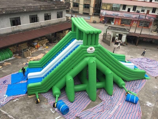 वयस्कों के लिए वाटरप्रूफ जाइंट डबल वॉटर स्लाइड इन्फ्लेटेबल कॉम्बो कलरफुल