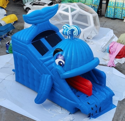 वाणिज्यिक Inflatable जल स्लाइड व्हेल डिजाइन होम पिछवाड़े